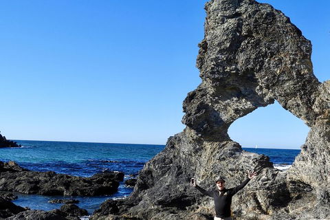 Narooma And Tilba Valley Private Tour - Sydney 4u 4