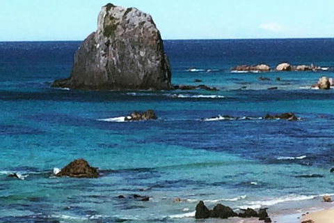 Narooma And Tilba Valley Private Tour - Sydney 4u 9