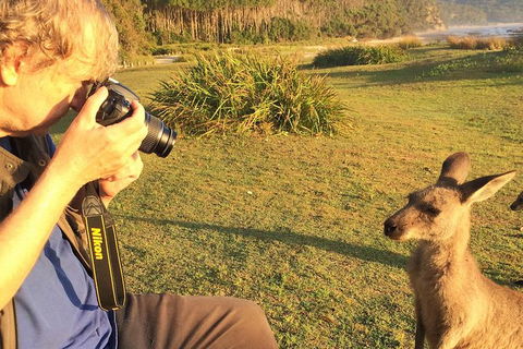 Highlights Of The Eurobodalla (half Day Private Tour) - Sydney 4u 2