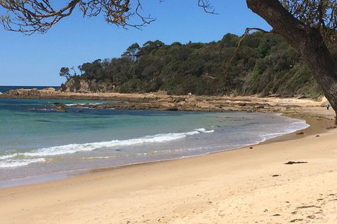 Highlights Of The Eurobodalla (half Day Private Tour) - Sydney 4u 5