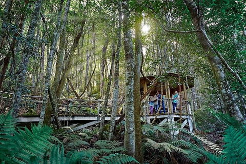All-Inclusive Blue Mountains Tour In A Luxury Mercedes Sprinter - Accommodation Sydney 6