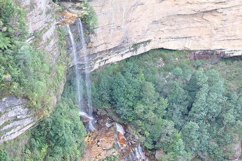 All-Inclusive Blue Mountains Tour In A Luxury Mercedes Sprinter - Accommodation Sydney 9