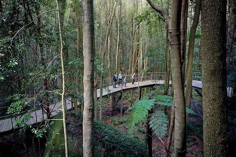 All-Inclusive Blue Mountains Tour In A Luxury Mercedes Sprinter - Accommodation Sydney 13