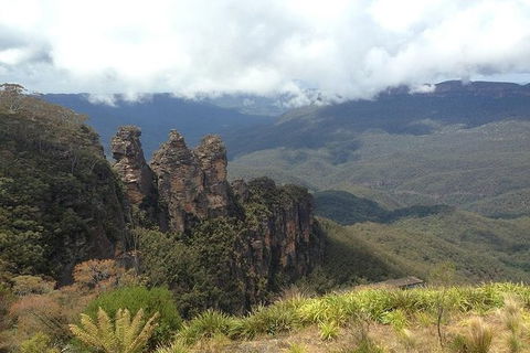 All-Inclusive Blue Mountains Tour In A Luxury Mercedes Sprinter - Accommodation Sydney 3