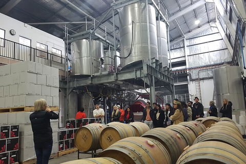 Hunter Valley Small Group Wine, Gin, Cheese & Chocolate Tour - Sydney 4u 6