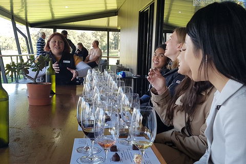 Hunter Valley Small Group Wine, Gin, Cheese & Chocolate Tour - Sydney 4u 2