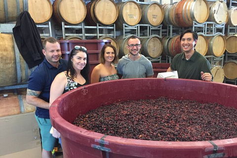 Hunter Valley Small Group Wine, Gin, Cheese & Chocolate Tour - Sydney 4u 0