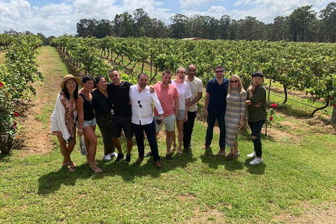 Hunter Valley Exclusive Kangaroo And Wine Tasting Experience - Accommodation Sydney 6