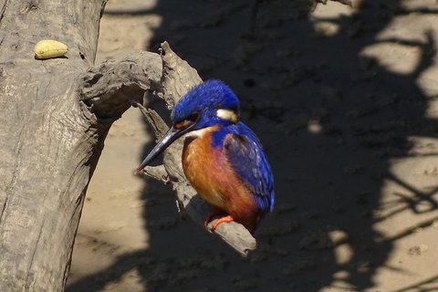 Byron Bay Sunset Rainforest Eco-Cruise - Sydney Resort 3