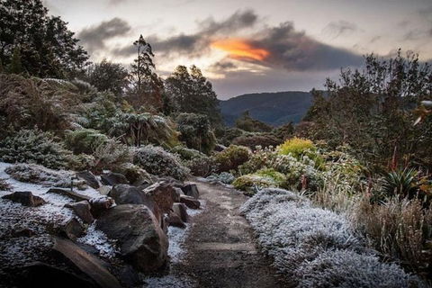 Blue Mountains Botanic Garden And Bilpin Tour From Katoomba With Cider Tasting - Accommodation Sydney 2