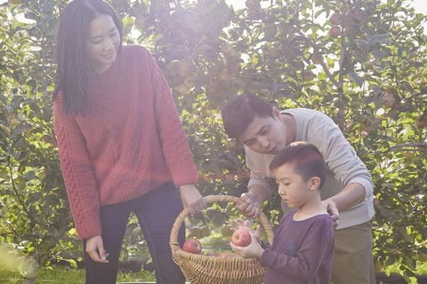 Blue Mountains Botanic Garden And Bilpin Tour From Katoomba With Cider Tasting - Accommodation Sydney 1
