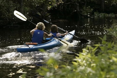 Small-Group Kayaking Experience In Sydney - Accommodation Sydney 1