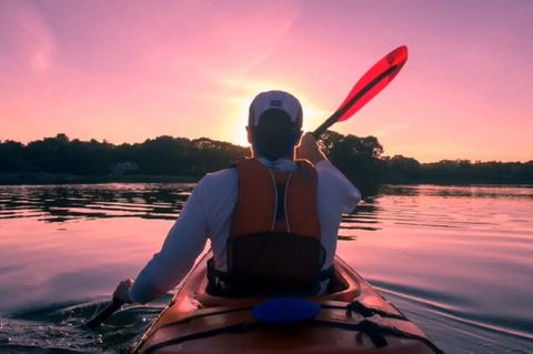 Small-Group Kayaking Experience In Sydney - Accommodation Sydney 4