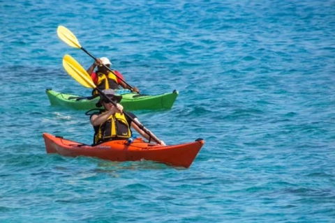 Small-Group Kayaking Experience In Sydney - Accommodation Sydney 0