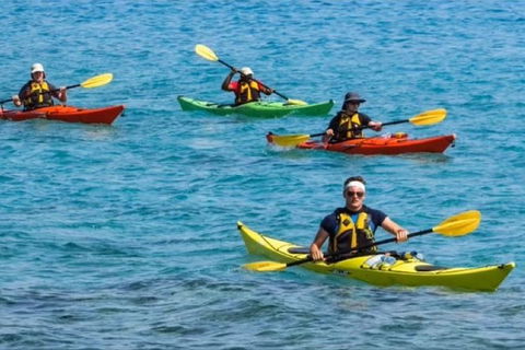 Small-Group Kayaking Experience In Sydney - Accommodation Sydney 6