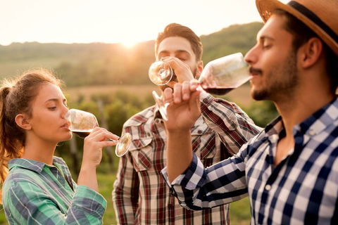 All-inclusive Morning Wine Tour In Orange - Accommodation Sydney 0