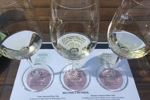 All-inclusive Morning Wine Tour In Orange - Accommodation Sydney 5