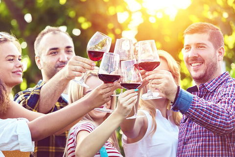 All-inclusive Morning Wine Tour In Orange - Accommodation Sydney 2