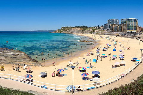 Newcastle Scenic Explorer - 2 Hour Tour By Minibus - Sydney 4u 16