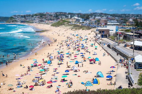 Newcastle Scenic Explorer - 2 Hour Tour By Minibus - Sydney 4u 6