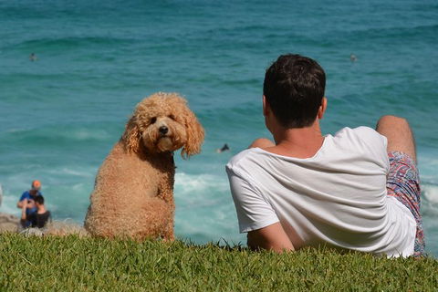 See Sydney With A Local: Private & Personalized - Accommodation Sydney 4
