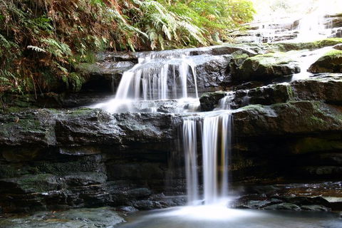 Private 10-hour Tour To Blue Mountains From Sydney - Hotel Pick Up & Drop Off - Accommodation Sydney 6