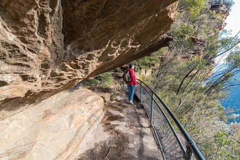 Blue Mountains Highlights & Wildlife Park - Accommodation Sydney 0