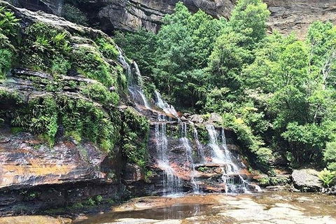 Blue Mountains Highlights & Wildlife Park - Accommodation Sydney 8