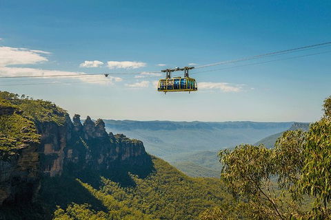 Blue Mountains Highlights, Wildlife Park And Scenic World Full Day Private Tour - Accommodation Sydney 0