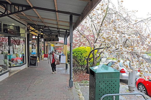 Blue Mountains Highlights, Wildlife Park And Scenic World Full Day Private Tour - Accommodation Sydney 2