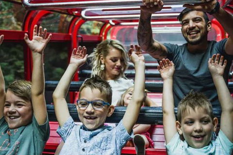 Blue Mountains Highlights, Wildlife Park And Scenic World Full Day Private Tour - Accommodation Sydney 5