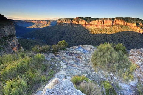 Blue Mountains Highlights, Wildlife Park And Scenic World Full Day Private Tour - Accommodation Sydney 4