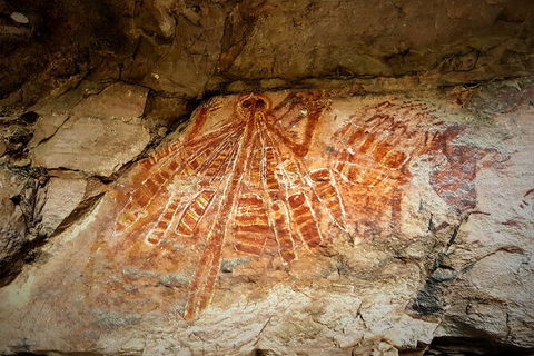 Arnhem Land Injalak Hill Full-Day Tour From Jabiru - Accommodation Sydney 2