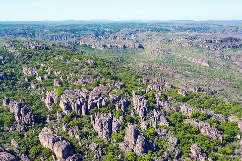 Jabiru 30 Minute Scenic Flight - Accommodation Sydney 1