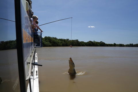 Darwin City Sights And Jumping Crocodile Cruise - Accommodation Sydney 2