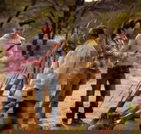 Karrke Aboriginal Cultural Experience - Accommodation Sydney