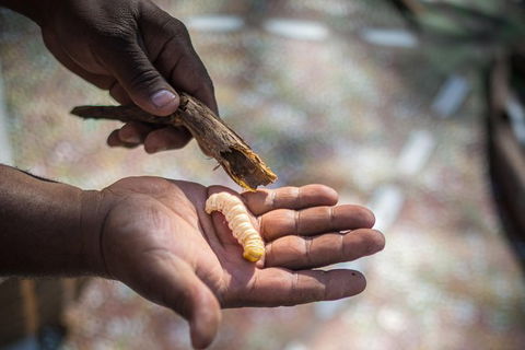 Karrke Aboriginal Cultural Experience - Accommodation Sydney 4