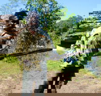 Kakadu  Arnhem Land tour Camping tour - Accommodation Sydney