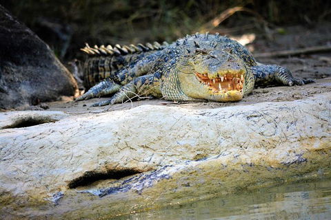 Ethical Adventures - Kakadu 2 Day- Max 10 Guests - Accommodation Sydney 3