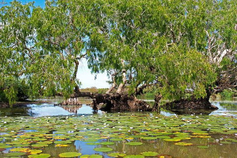 Ethical Adventures - Kakadu 2 Day- Max 10 Guests - Accommodation Sydney 10