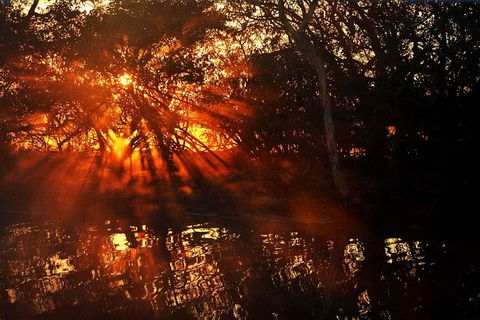 Ethical Adventures - Kakadu 2 Day- Max 10 Guests - Accommodation Sydney 5