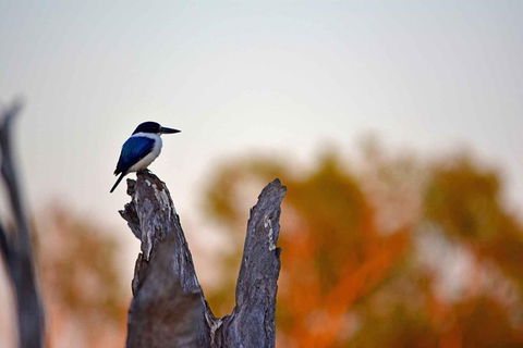 Ethical Adventures - Kakadu 2 Day- Max 10 Guests - Accommodation Sydney 4