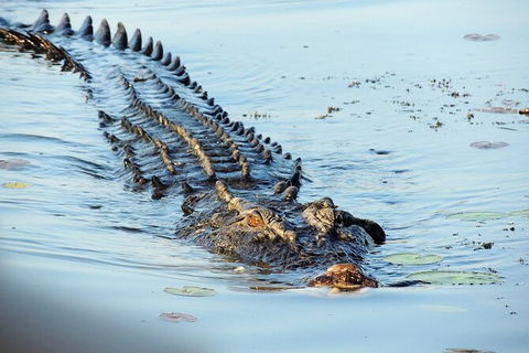 Ethical Adventures - Kakadu 2 Day- Max 10 Guests - Accommodation Sydney 8