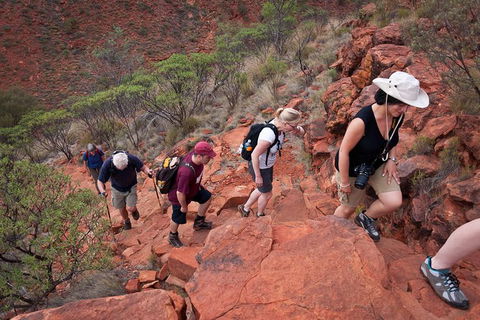 Uluru, Kata Tjuta And Kings Canyon Camping Safari From Alice Springs - Accommodation Sydney 3