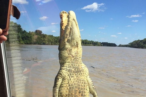 Adelaide River Queen Cruise Shuttle Bus - Accommodation Sydney 5