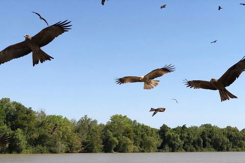 Adelaide River Queen Cruise Shuttle Bus - Accommodation Sydney 3