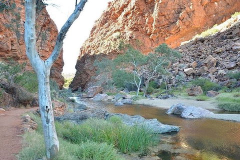 Alice Springs, Uluru Ayers Rock & Kings Canyon 8 Days Touring Package - Sydney 4u 2