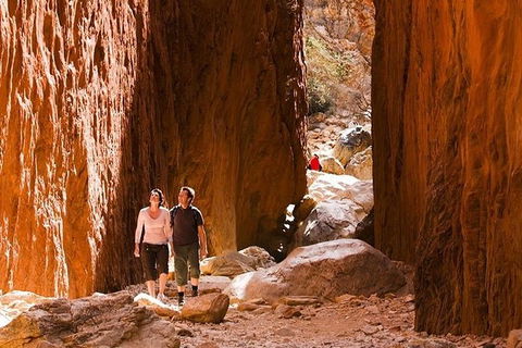 Alice Springs, Uluru Ayers Rock & Kings Canyon 8 Days Touring Package - Sydney 4u 5