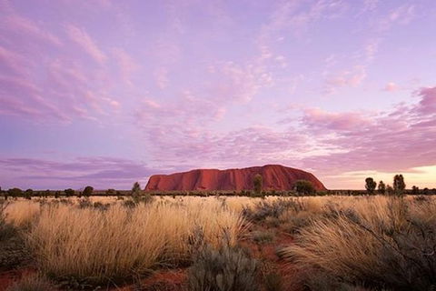 Sunset Australian Barbecue Dinner In Uluru - Sydney 4u 0