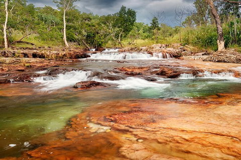 Full-Day Private Guided Tour To Litchfield National Park - Sydney 4u 14
